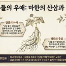 우나라