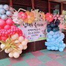 혜성어린이집 Daum카페