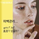 꼼브레