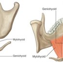 두침한의원 이미지