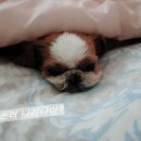 우리카인테리어 이미지