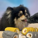 수제간식 만들기 이미지