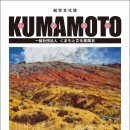 주식회사 트리니티코퍼레이션 이미지