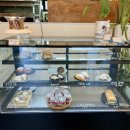 종합청사 | 제주 종합청사 근처카페 빵맛집 내돈내산후기 <부레드>