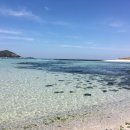 제주에내집 이미지