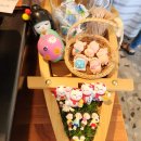 일광스시 이미지