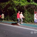 대교로 봉산초등학교 뉴스탑전남