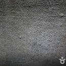 천전리 각석 Daum카페