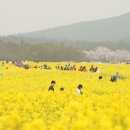 상맹방1리마을회관 이미지