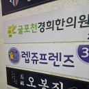 렙쥬프렌즈 - 부평구 장제로 224-1 | 인천 크레스티드게코 파충류샵 렙쥬프렌즈 입양 후기와 키우는법
