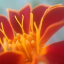 스마트폰 동영상 제작 이미지