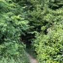 유곡테니스장 이미지