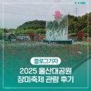 울산대공원 장미축제 관람 후기