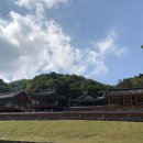 구룡사 - 1336 | 구룡사