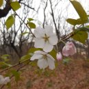 그림자호수 이미지