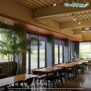 보림다원