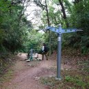 북부동 등산로 이미지