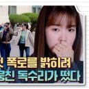 웰컴투삼달리 이미지
