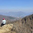 천마산 Daum카페