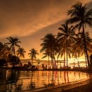 유심농장 이미지