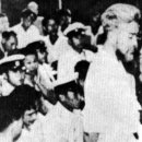 해방농장 이미지