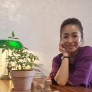 이웃집잡화점 이미지