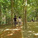 대구수목원 이미지