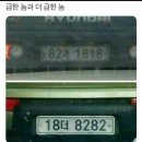 82가든