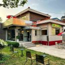 올드 트리 이미지