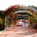 (주)나비원 이미지