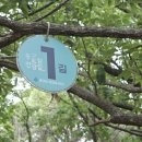 도심건강길 1길 이미지