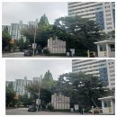 불곡초등학교 | 분당 구미동 임장후기 무지개마을청구5단지재건축 ,무지개마을 4단지주공리모델링 다녀왔어요