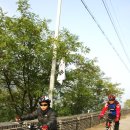 호미숙 자전거여행[남한강 자전거 길 개통행사(양수리). 철인3종 선수들의 한강 수영] 이미지