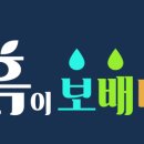 흙이보배다식물