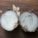 위험한studio 이미지