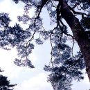 아름서원