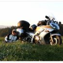 둘만농장 이미지