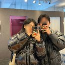 제주도 핫플 제주시청 데이트 (왕가탕후루, 네컷사진, 올리브영, 착한구두)