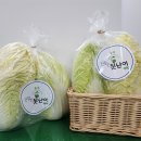 충북수지 이미지