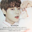 원에클린 이미지