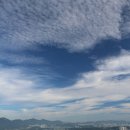 엑스포과학공원 주차장 이미지