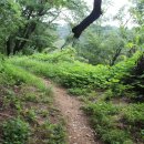 율림석수 이미지