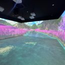 동해꿈빛마루도서관 마루공간 이미지