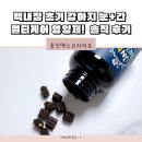 올인 | 백내장 초기 강아지 눈+간 멀티케어 영양제! 올인맥스브라이트 솔직 후기