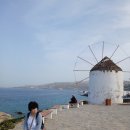 리틀미코노스3 이미지