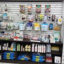 도그앤캣 동물병원 | 부평 도그앤캣동물병원, 강아지 낭종 &amp; 심장사상충키트