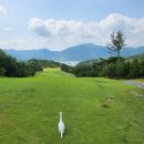 고성노벨컨트리클럽골프텔 | 경남골프여행 씨사이드골프장 고성노벨골프패키지 골프텔숙박 노캐디골프 선택