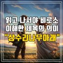 상수리나무아래 호스텔 | 드디어 끝낸 상수리나무아래 책리뷰 후기