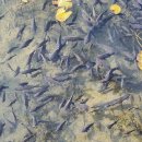 나무테크 이미지