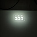 맥시멈 태권도 | 2월 2025